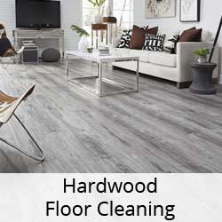 Hardwood Floor Cleaning