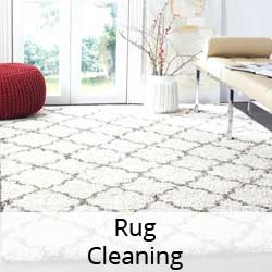 Rug Cleaning